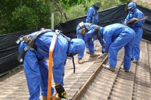 Professional Asbestos Removal Experts