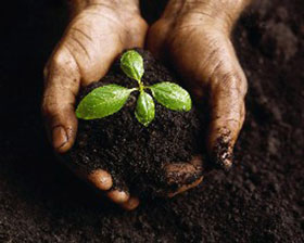 Soil Remediation Service