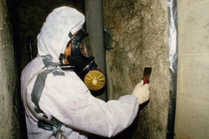 Asbestos Removal in Walls