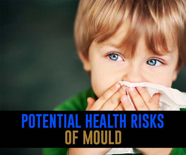 Potential Health Risks of Mould