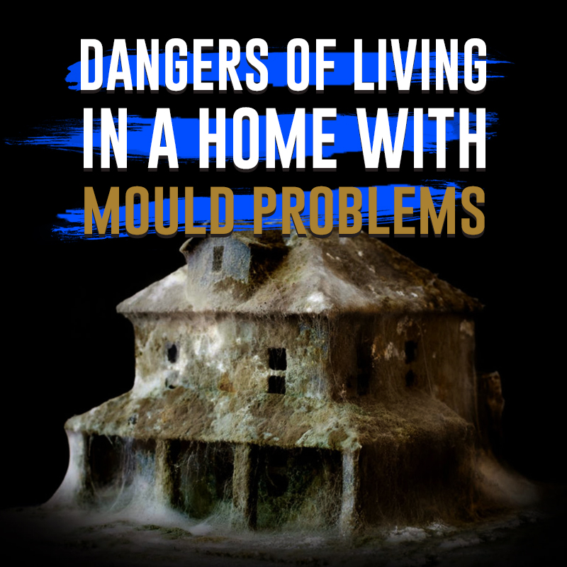 Dangers of Living in a House with Mould Problems