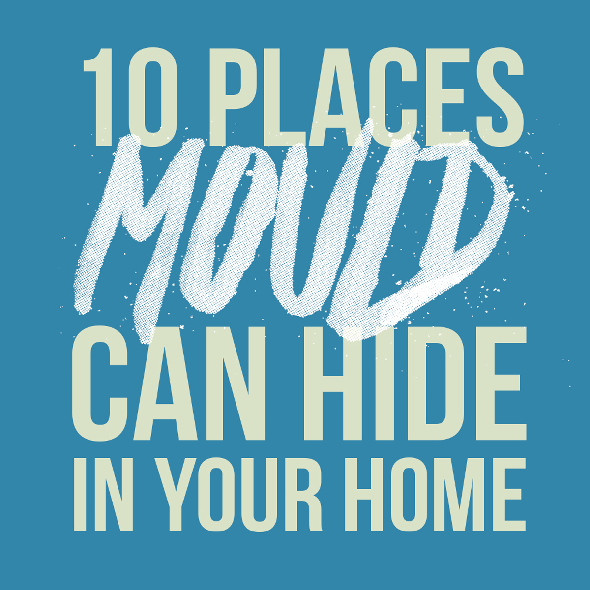 Places Mould Can Hide In Your Home