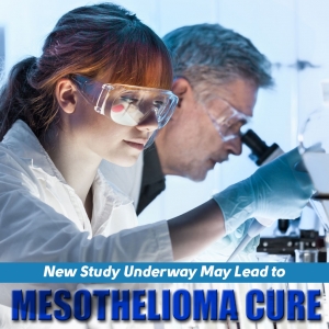 New Study Underway May Lead to Mesothelioma Cure