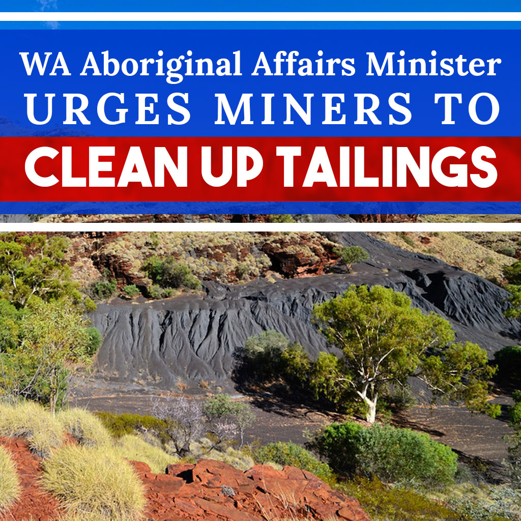 Clean Up Tailings