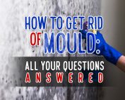 How to Get Rid of Mould: All Your Questions Answered